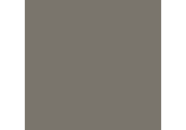 Warm Gray